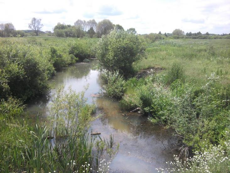 Березанка з panoramio.com - Березанка