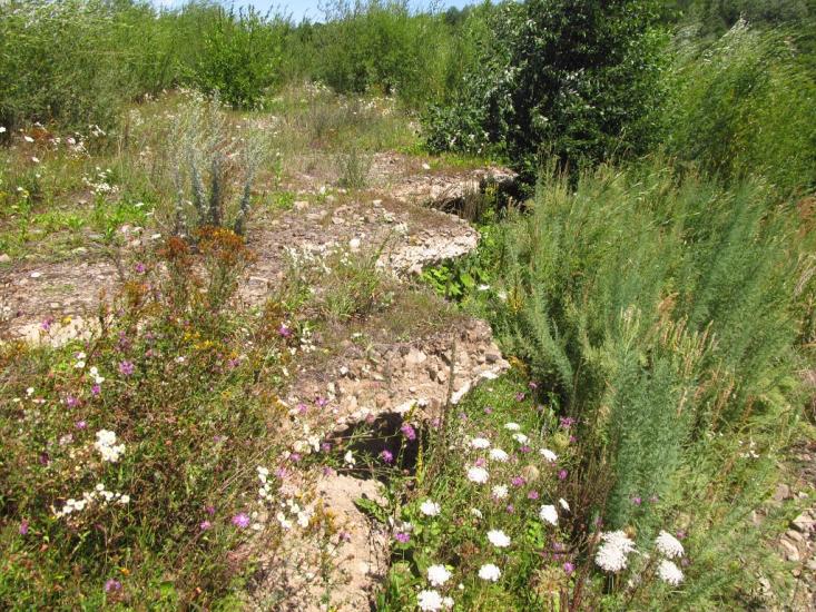 Маркова з panoramio.com - Markova