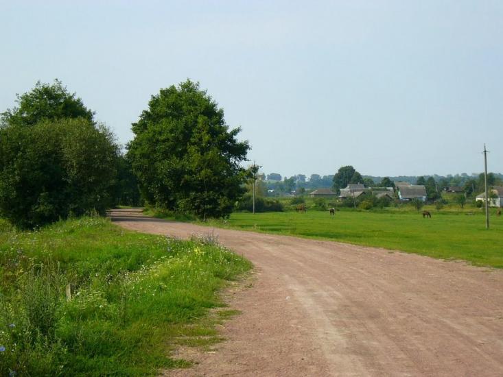 Тхорин з panoramio.com - Тхорин