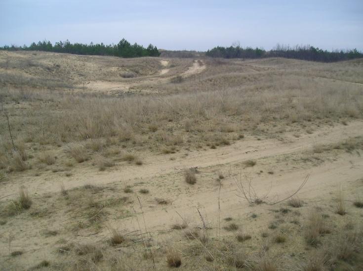 Пролетарка з panoramio.com - Пролетарка