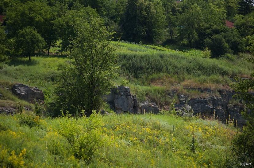 Буки з panoramio.com - Буки