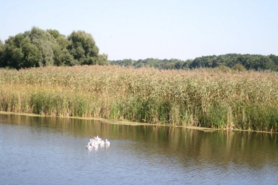 Велика Круча з panoramio.com - Велика Круча