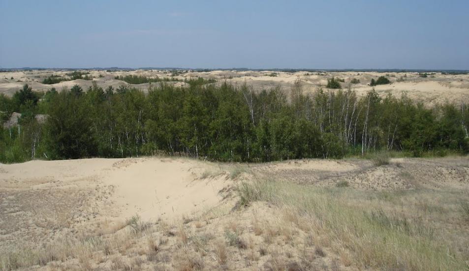 Пролетарка з panoramio.com - Пролетарка