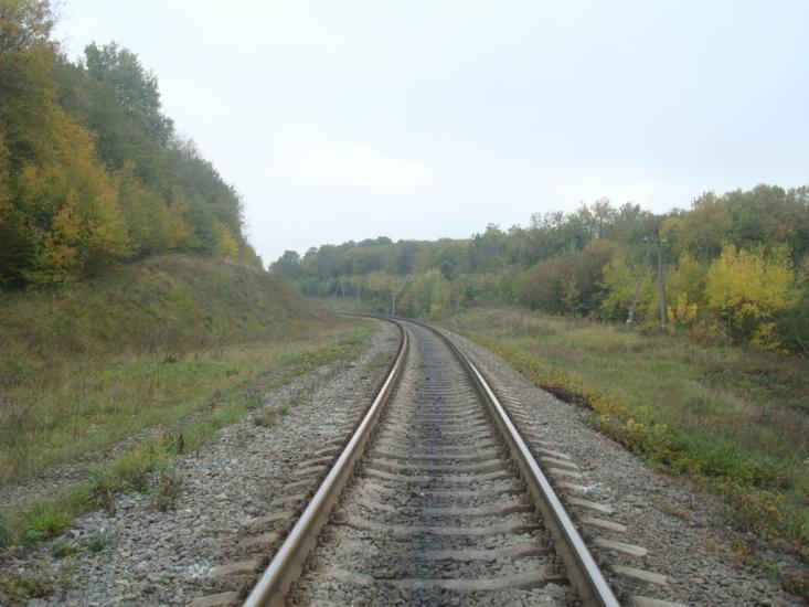 Верхівці з panoramio.com - Verkhivtsi