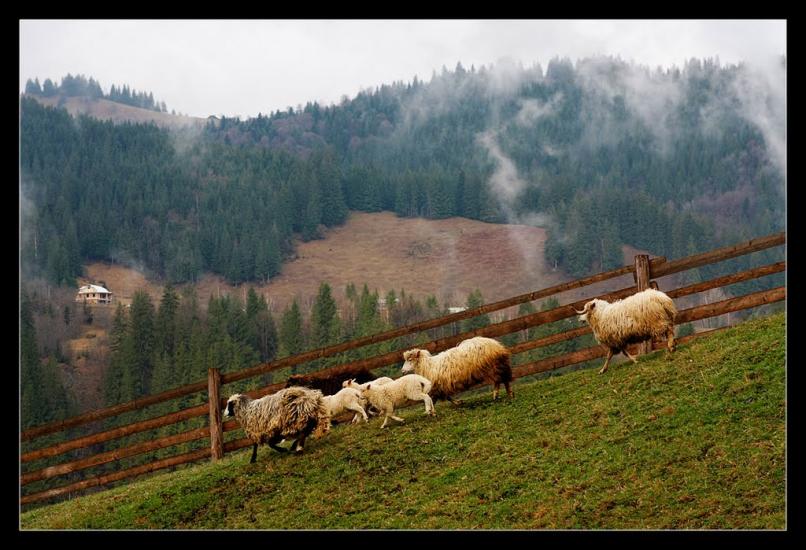 Красник з panoramio.com - Красник