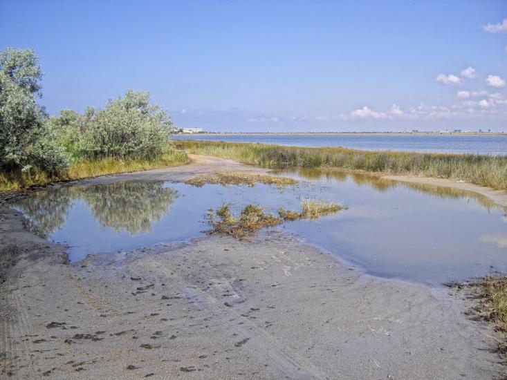 Молочне з panoramio.com - Молочне