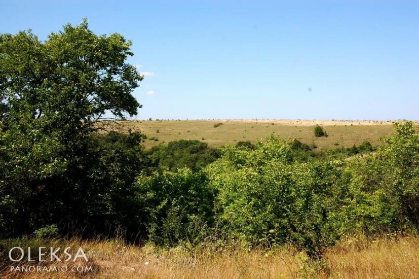 Рєпіне з panoramio.com - Рєпіне