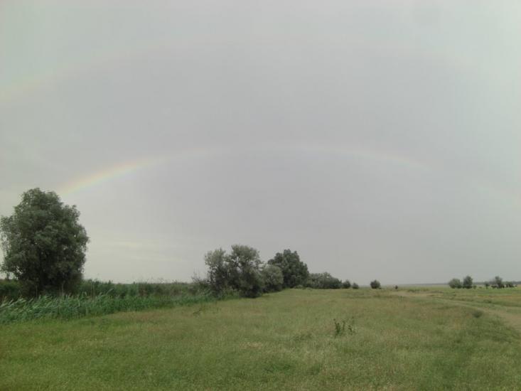 Стара Некрасівка з panoramio.com - Стара Некрасівка