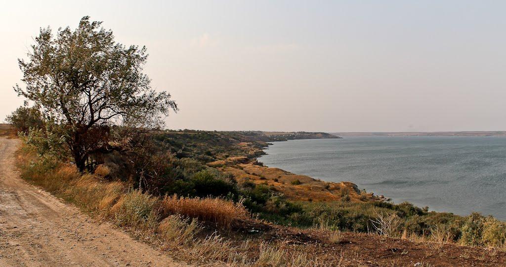Велика Балка з panoramio.com - Великая Балка