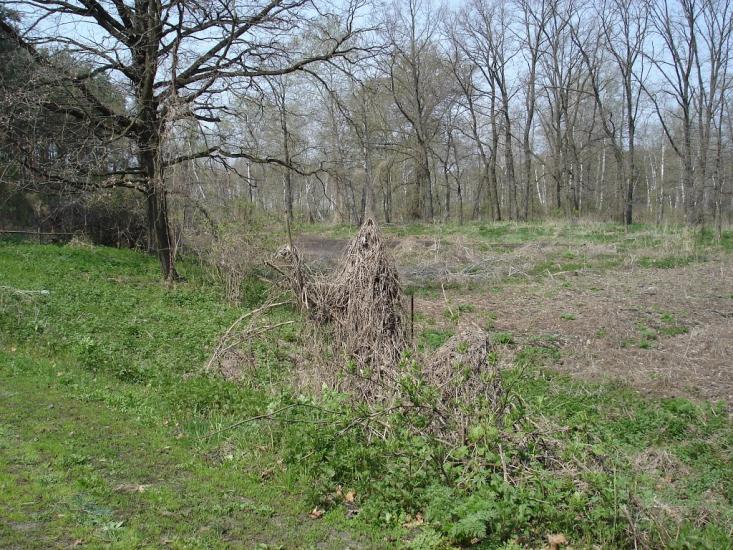 Ірдинь з panoramio.com - Ирдынь