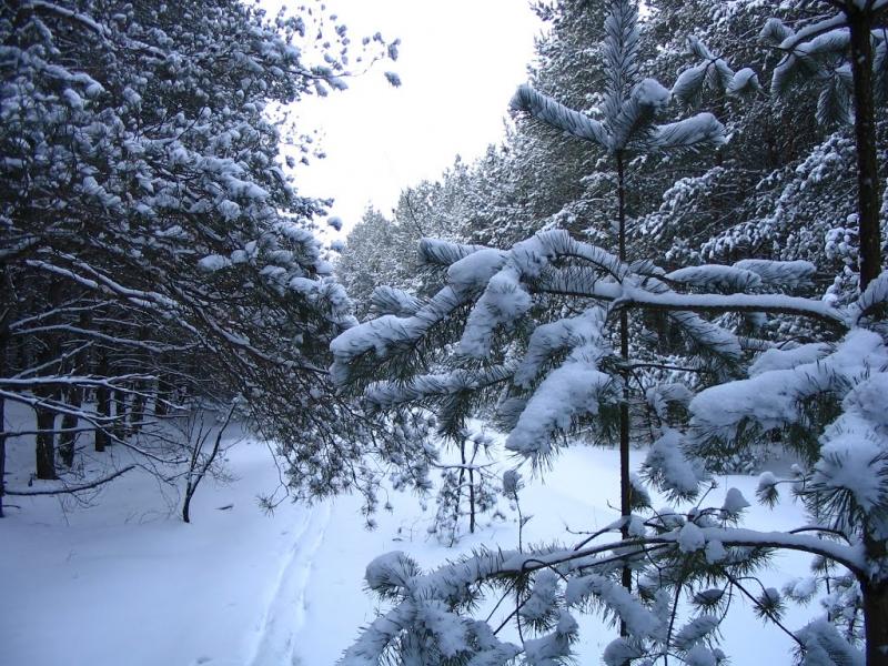 Горянівське з panoramio.com - Горяновское