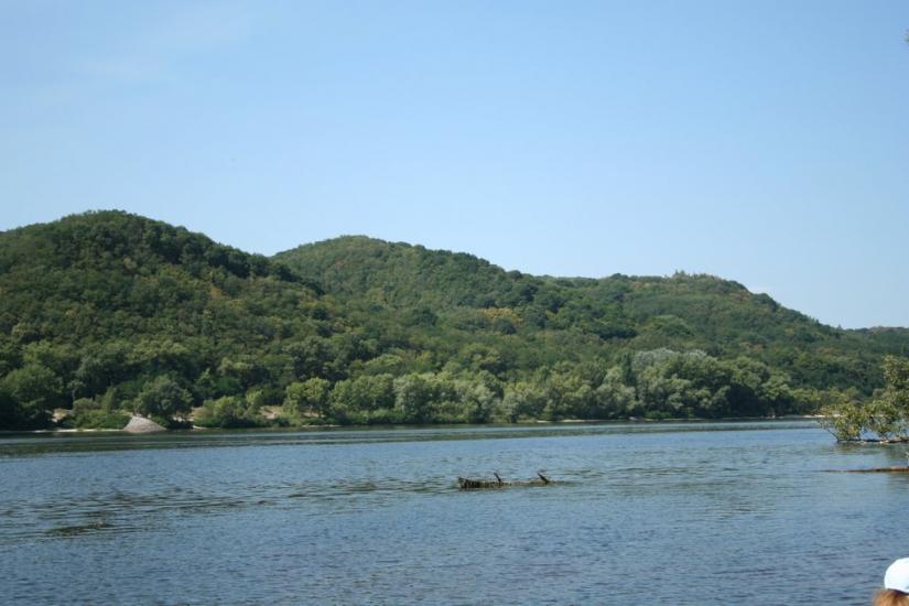 Пекарі з panoramio.com - Пекарі