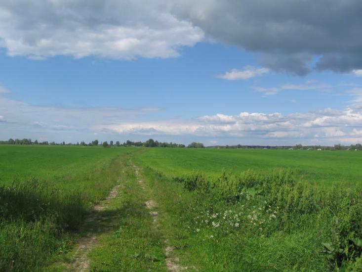 Терехівка з panoramio.com - Тереховка