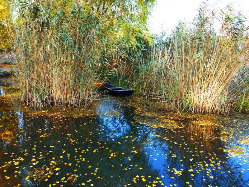Сухолужжя з panoramio.com - Сухолужжя
