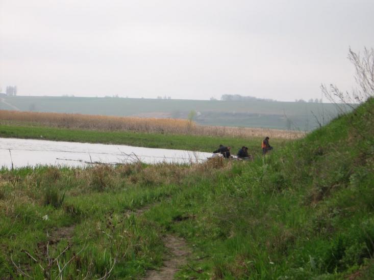 Куна з panoramio.com - Куна