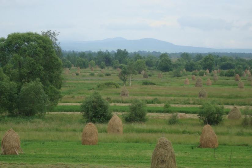 Ценява з panoramio.com - Ценява