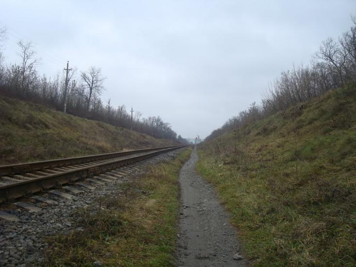 Григорівка з panoramio.com - Grygorivka