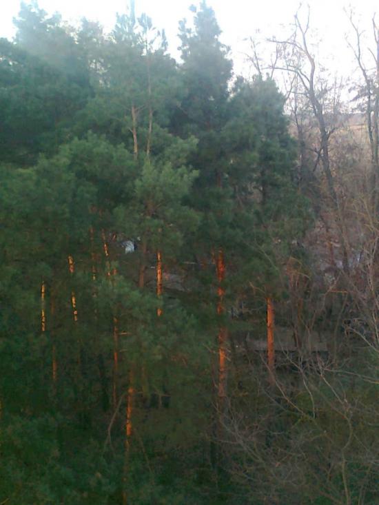 Змійове з panoramio.com - Змійове