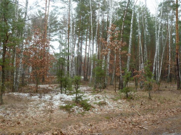 Житомир з panoramio.com - Житомир