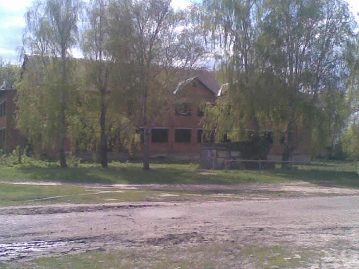 Петрушин з panoramio.com - Petrushyn