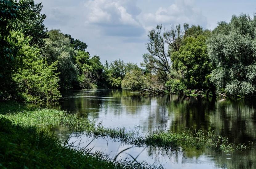 Пархоменкове з panoramio.com - Пархоменково