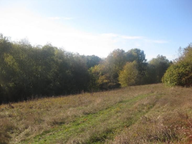 Шрамки з panoramio.com - Шрамки