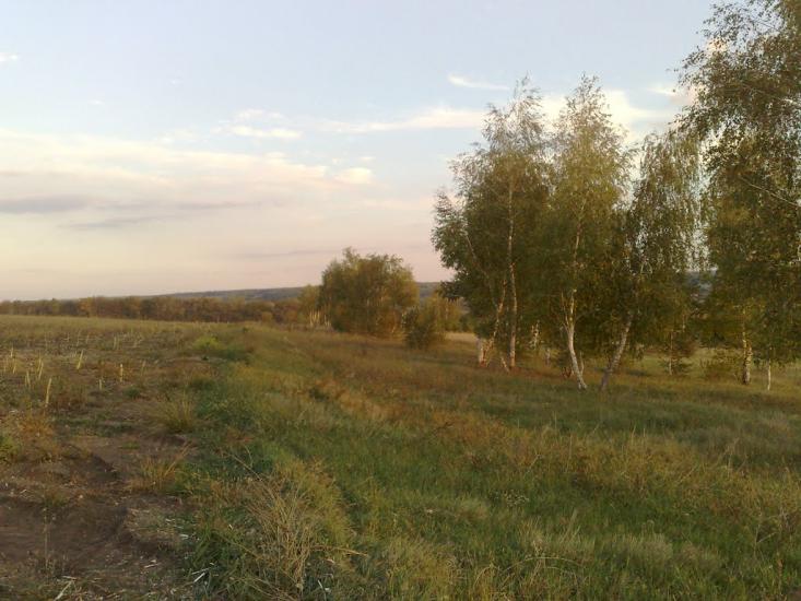 Питомник з panoramio.com - Pytomnyk