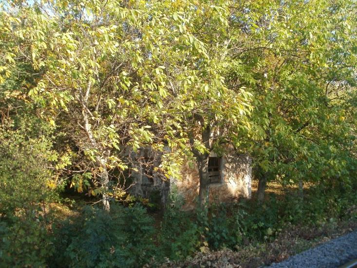 Карбівське з panoramio.com - Karbivske