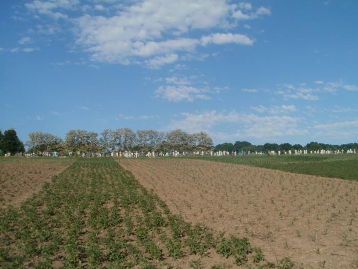 Млинки з panoramio.com - Млынки