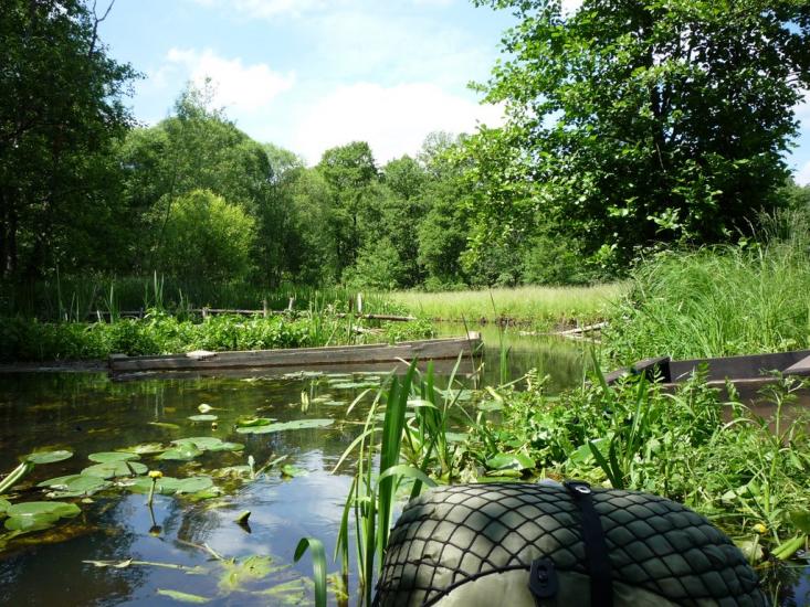 Бережниця з panoramio.com - Бережниця
