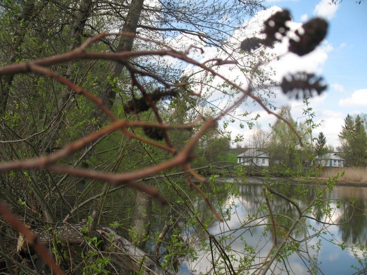 Велика Севастянівка з panoramio.com - Великая Севастьяновка