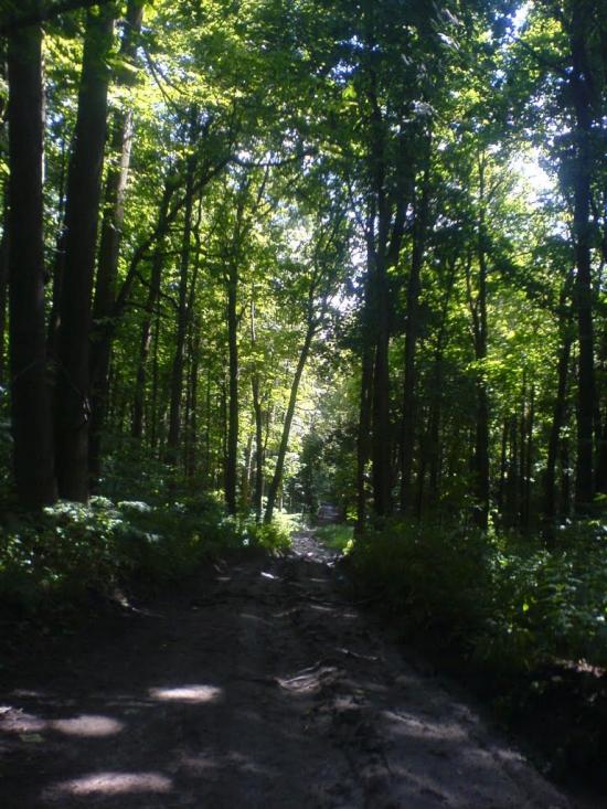 Кияниця з panoramio.com - Кияница