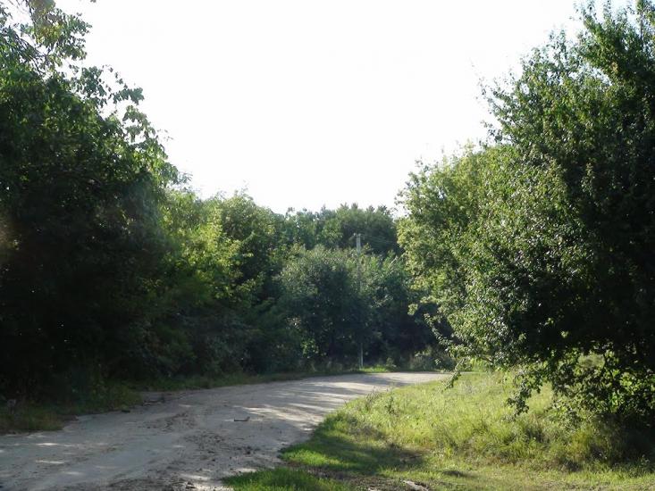 Люлинці з panoramio.com - Люлинцы
