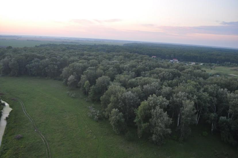 Підлісся з panoramio.com - Подлесье