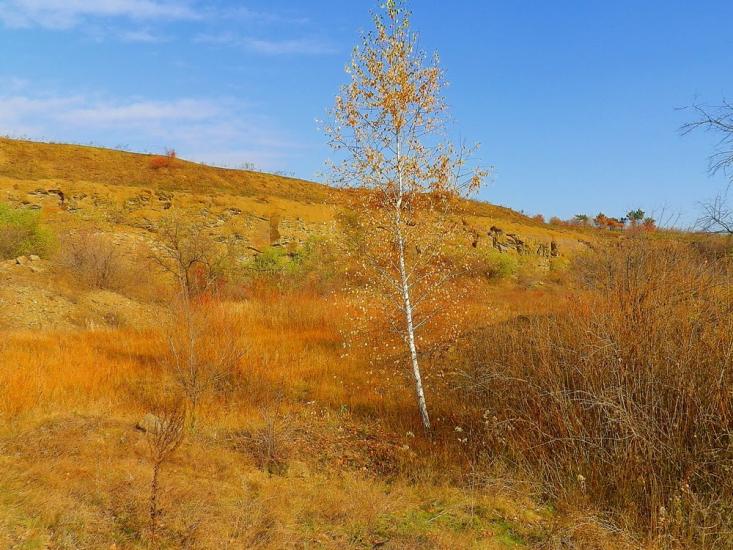 Нижня Кринка з panoramio.com - Nyzhnya Krynka