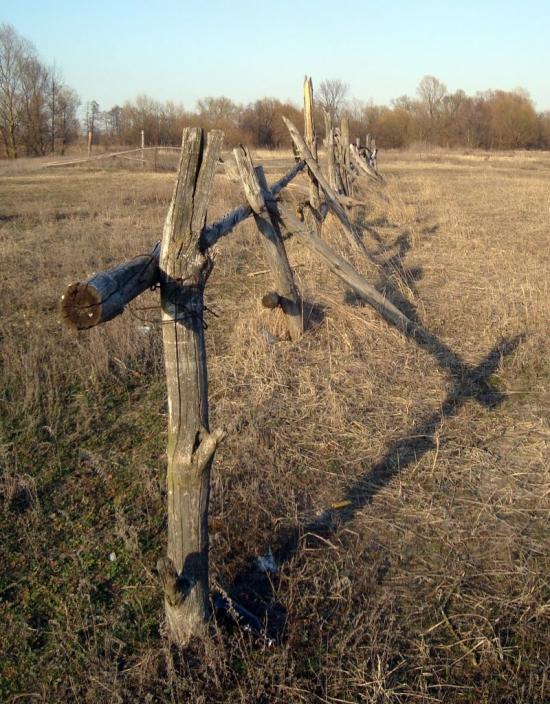 Єньків з panoramio.com - Еньков