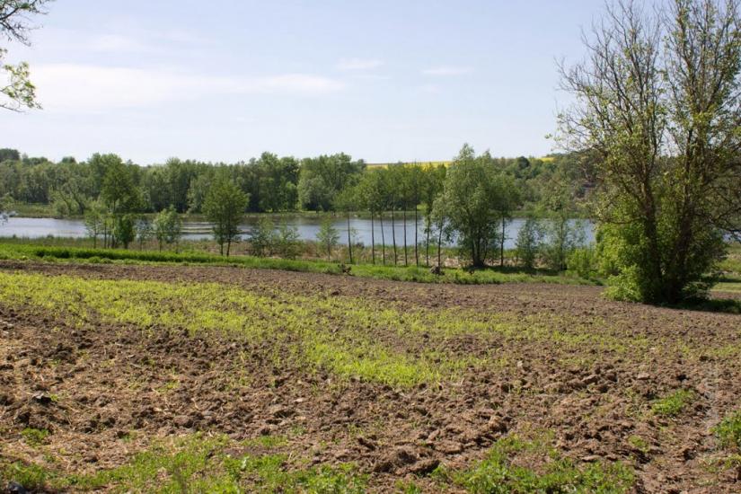 Чернявка з panoramio.com - Чернявка