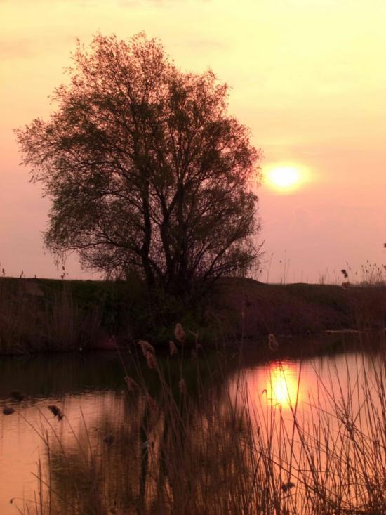 Стара Некрасівка з panoramio.com - Стара Некрасівка
