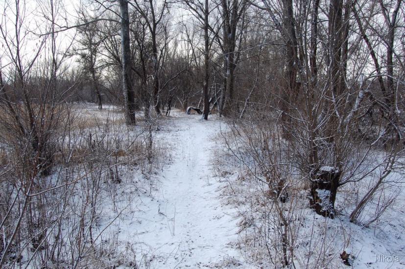 Боровеньки з panoramio.com - Боровеньки
