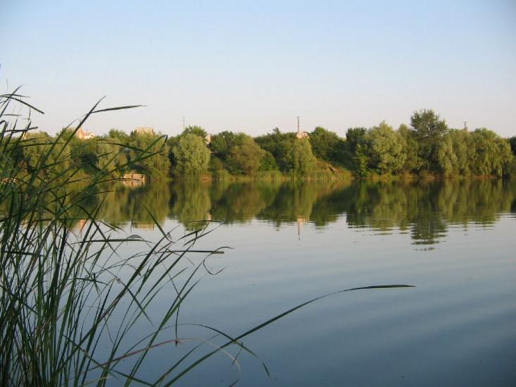 Питомник з panoramio.com - Питомник