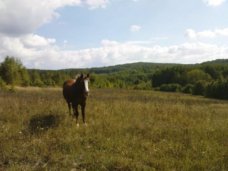 Лубенці з panoramio.com - Лубенцы