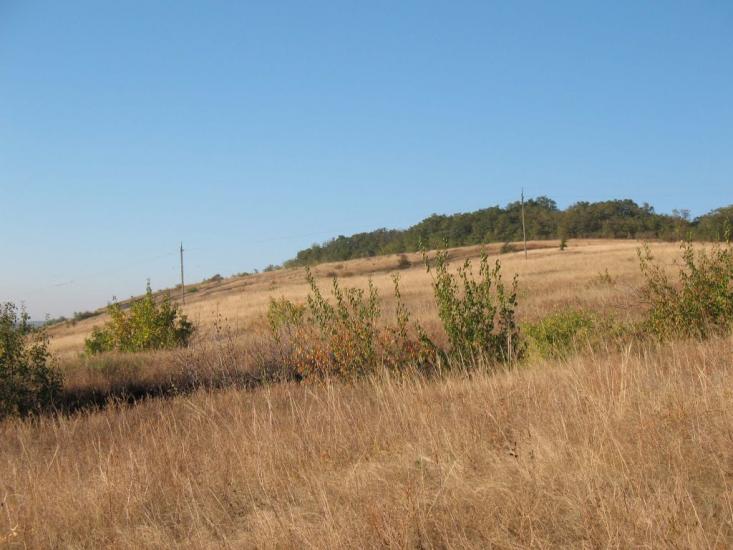 Хворостянівка з panoramio.com - Хворостянівка