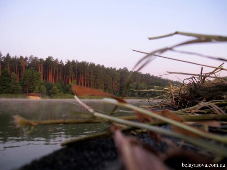 Бобриця з panoramio.com - Bobrytsya