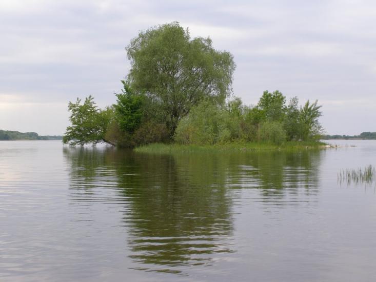 Кривуші з panoramio.com - Кривуши