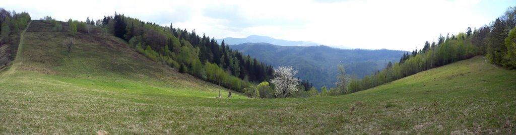 Розтоки з panoramio.com - Розтоки