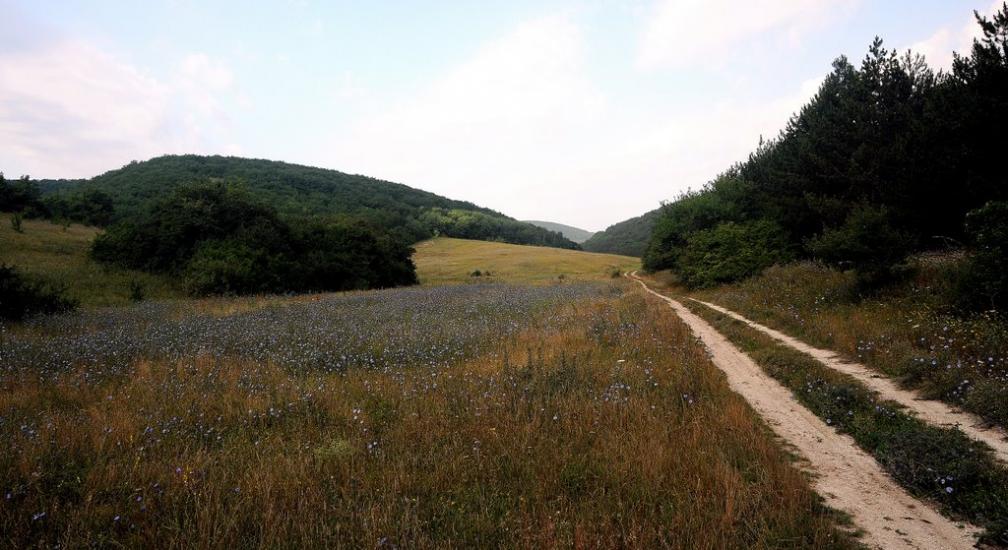 Прохладне з panoramio.com - Прохладное