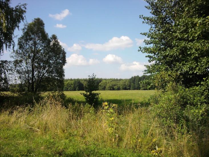 Малинівка з panoramio.com - Малиновка