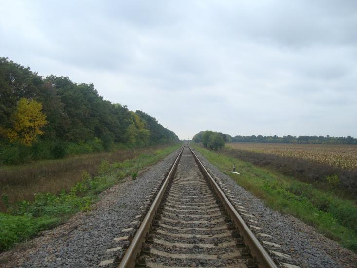 Григорівка з panoramio.com - Grygorivka