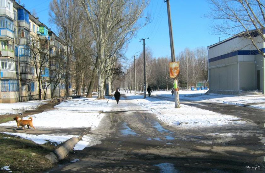 Широка Дача з panoramio.com - Широкая Дача