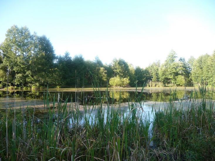 Ображіївка з panoramio.com - Ображіївка